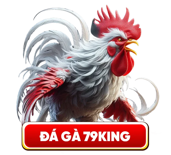 đá gà 79king2